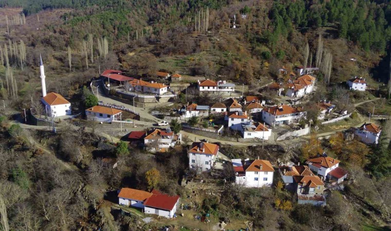 Kuyucaktaki evler tek renge büründü