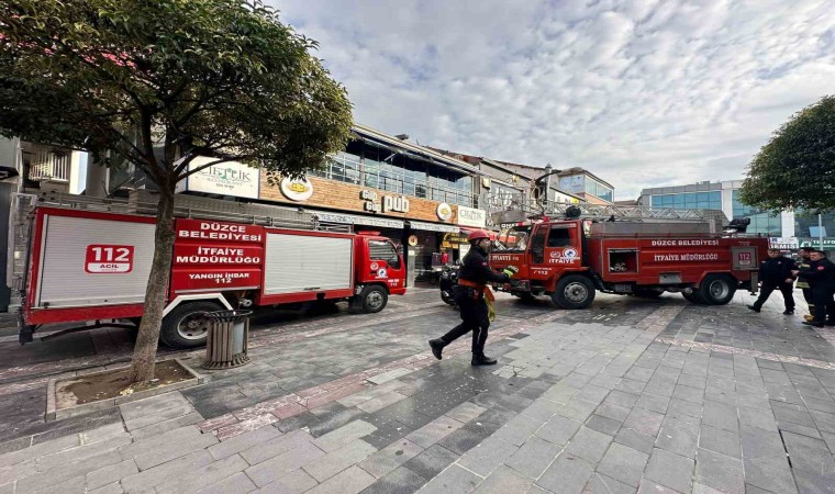 Mahsur kalan kedileri itfaiye kurtardı