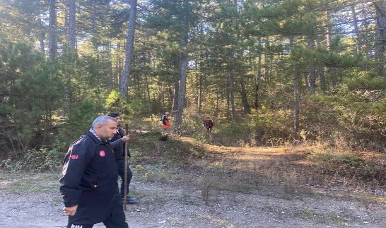 Mantar toplamak için gittiği ormanda kaybolan kadın, ölü bulundu