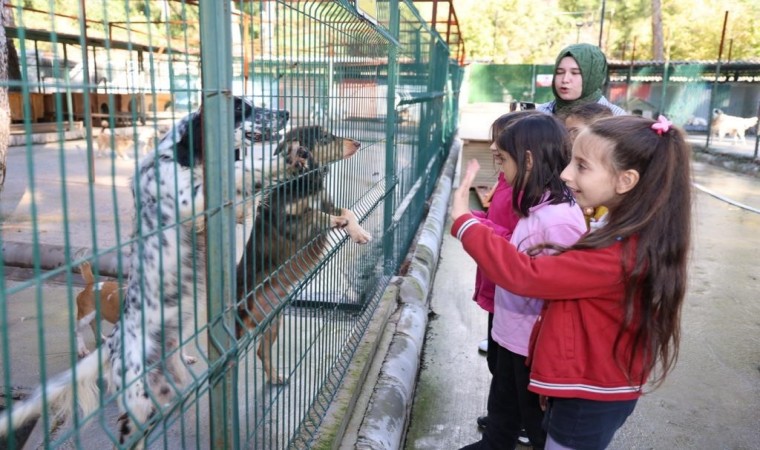 Marmariste patili dostlara yeni yıl ziyareti