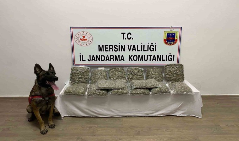 Mersinde 14 kilo 200 gram skunk ele geçirildi