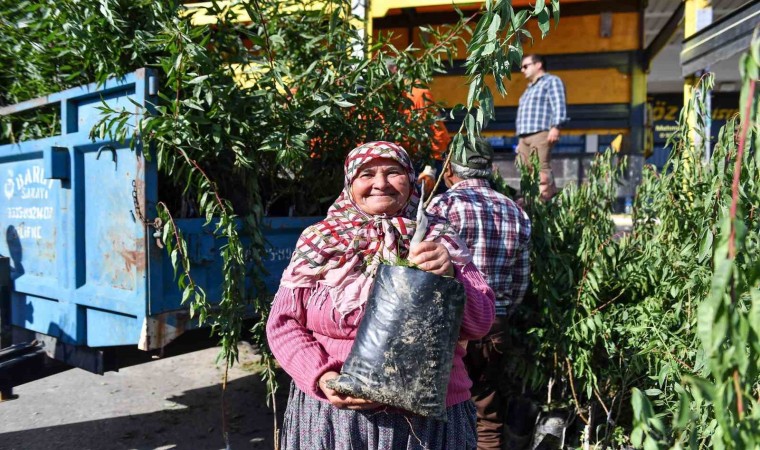 Mersinde üreticilere badem fidanı desteği