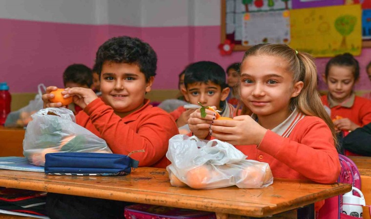 Mersindeki okullardaki çocuklara 100 ton narenciye dağıtılacak