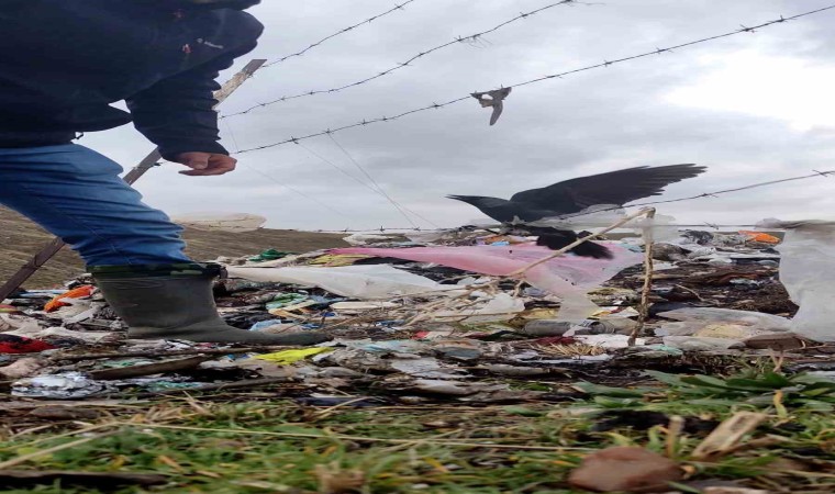 Ölüm çığlıkları kurtarılma esnasında son buldu