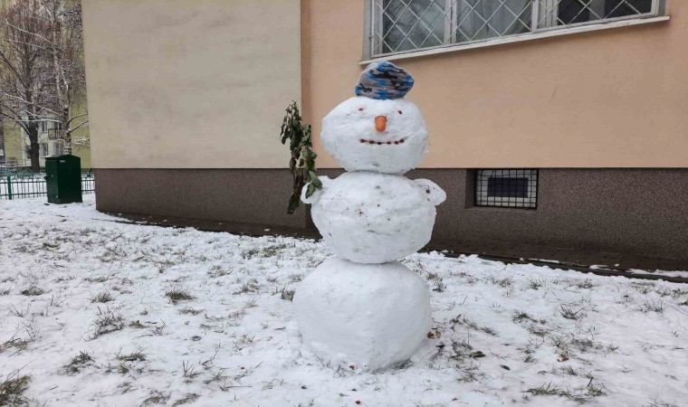 Polonyada termometreler eksi 25i gördü