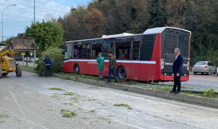 Samsun’da otobüs, direk ile ağaca çarptı; 2 yaralı