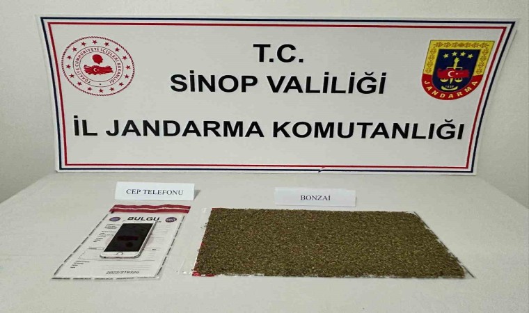 Sinopta uyuşturucu operasyonu: 2 gözaltı