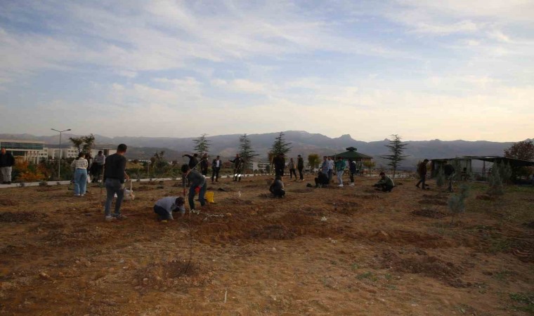 Şırnak Üniversitesinde bin adet fidan toprakla buluşturuldu