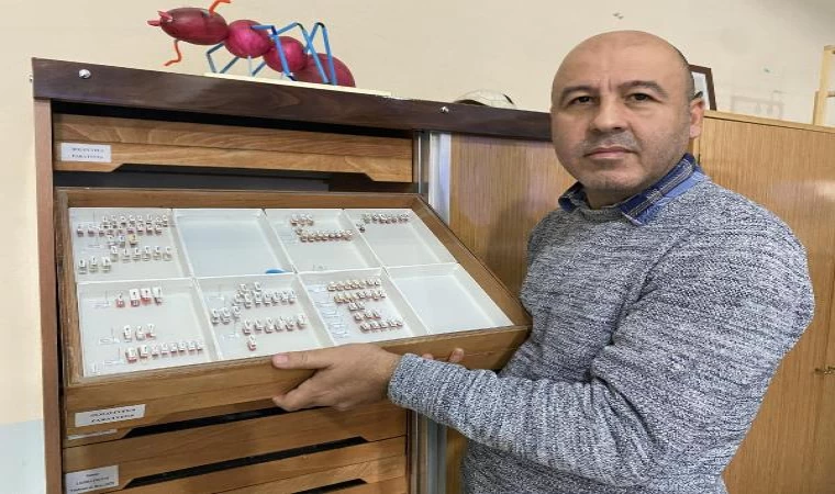 Sivas’ta yeni bir böcek türü keşfedildi; Medon turcicus