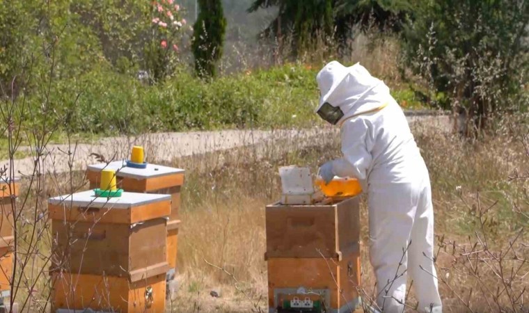 Tuzlada Arıcılık Kursunu tamamlayan 40 kursiyer sertifika almaya hak kazandı