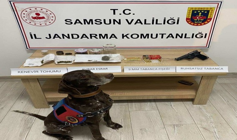 Uyuşturucu maddeyle yakalanan şahıs gözaltına alındı