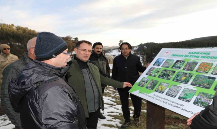 Vali Ziya Polattan turizm hamlesi