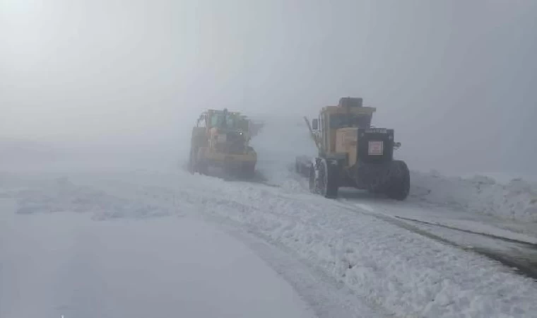 Van’da 272 yerleşim yerinin yolu kardan kapandı