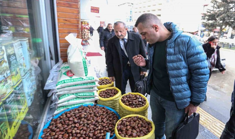 Vanda ‘Çin kestanesi denetimi