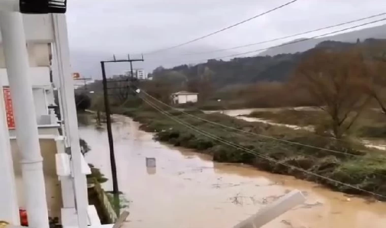 Yalova’da sağanak; dere taştı, mahsur kalan 4 yavru köpek kurtarıldı