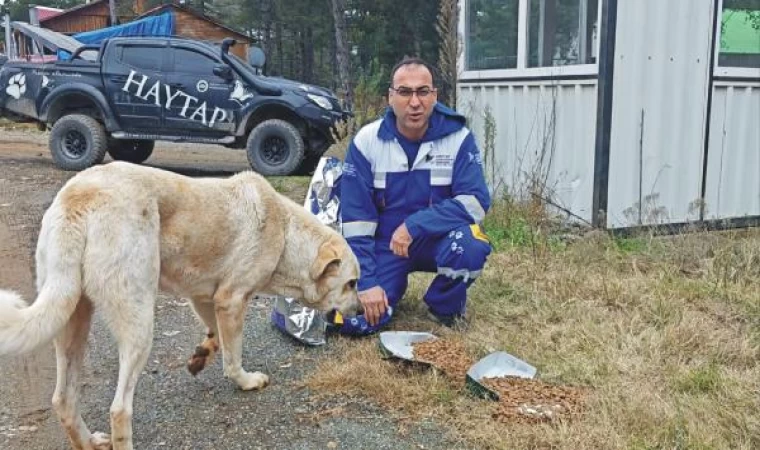 Yaz bitince terk edilen, yaylalardaki hayvanlara yiyecek bırakıldı