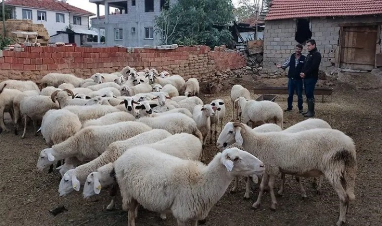 Acıpayamın 11 mahallesi çiçek karantinasına alındı