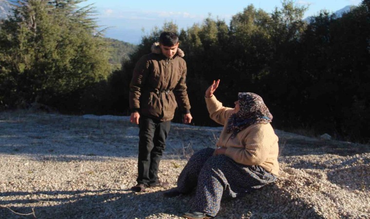 Ağaçların şarampole uçmaktan kurtardığı otobüs şoförüne yaşlı yolcudan moral