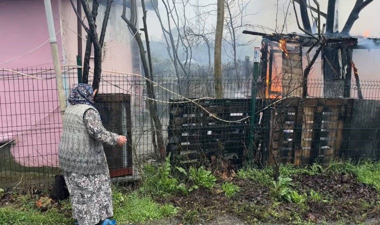 Ahıra kurulan soba hayvanları telef etti, yaşlı kadın sinir krizi geçirdi