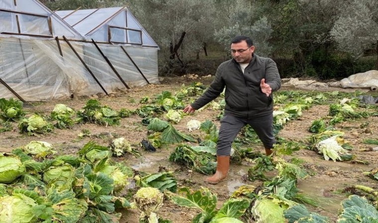 Alanyada sağanak yağış sera ürünlerine hasar verdi