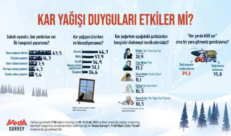 Araştırma: Kar yağışını izlemek huzur veriyor