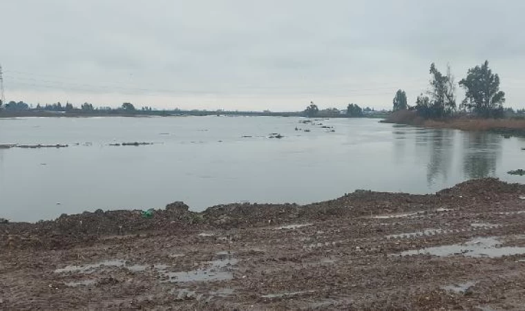 Asi Nehri yağışla taştı; tarım arazileri su altında kaldı