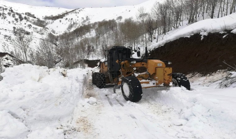 Batman-Muş dağ köyleri bağlantı yolu ulaşıma açıldı