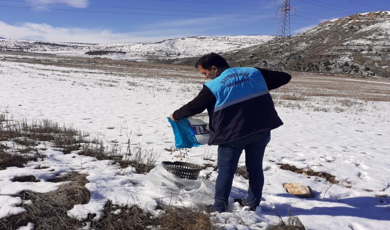 Battalgazide sokak hayvanlara yem bırakıldı