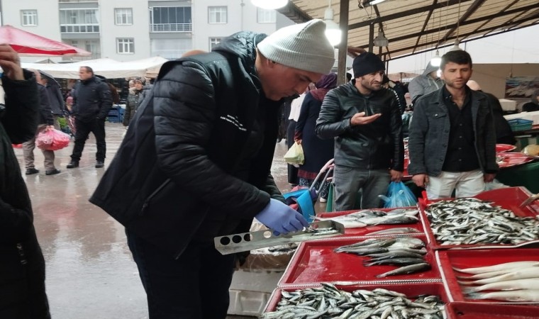 Beyşehirde boy limiti altında balık tüketilmemesi çağrısı