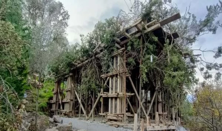 Bodrum’da ağaç dallarıyla gizlenmiş kaçak yapıya yasal işlem