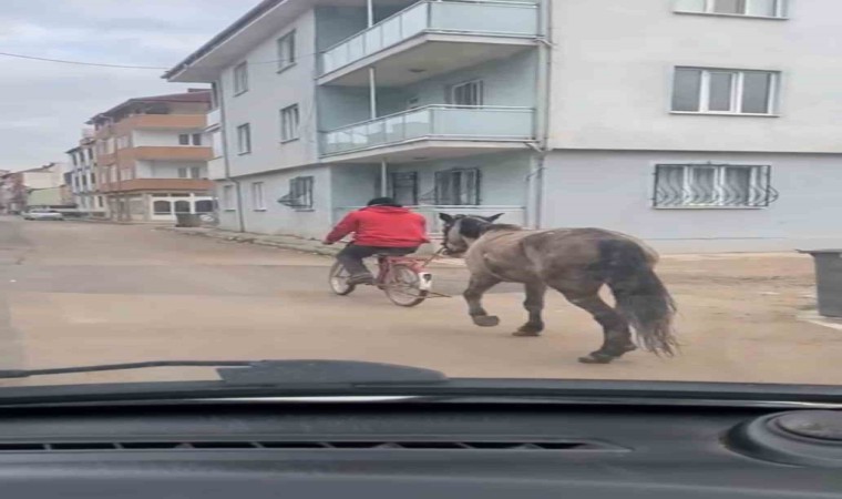 Bursada atı bisikletine bağlayarak götürdü