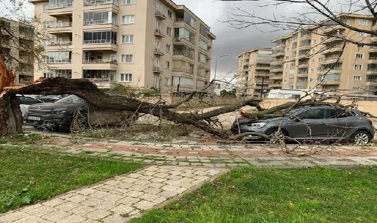 Bursa’da fırtına; deniz otobüsü seferleri iptal edildi (2)