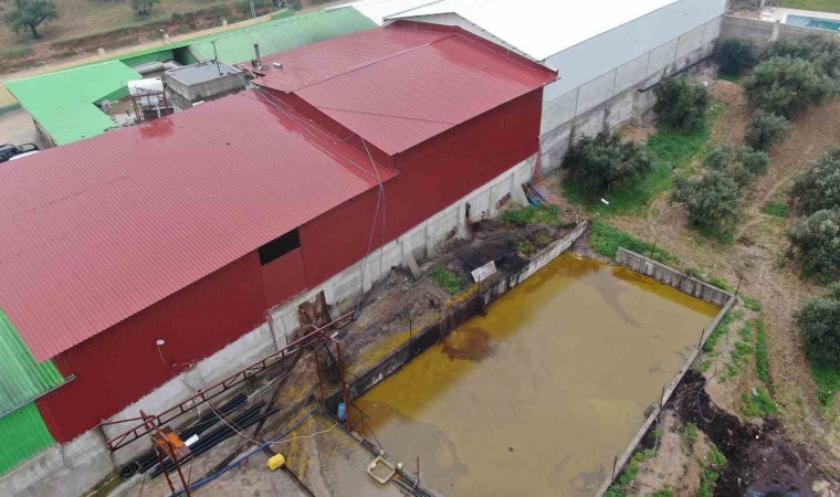 Depodan sızan tonlarca zeytinyağı araziye yayıldı