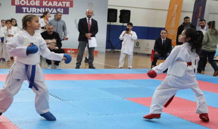 Diyarbakırda 311 çocuk karate turnuvasında mücadele etti