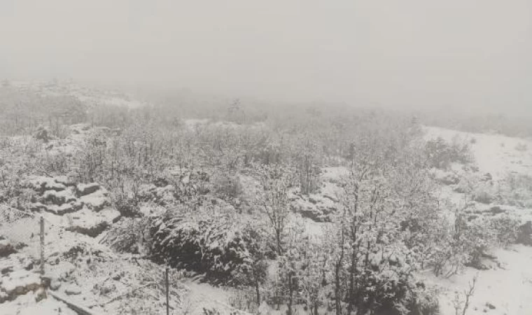 Diyarbakır’da kar yağışı