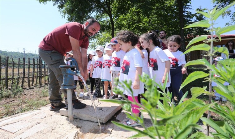 Doğayı doğada anlatan eğitim kampüsü: Canik Orman Okulu