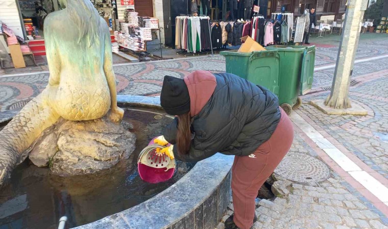 Edirne kuru ayaza teslim oldu, havuzlar dondu