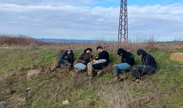 Edirnede 21 kaçak göçmen yakalandı