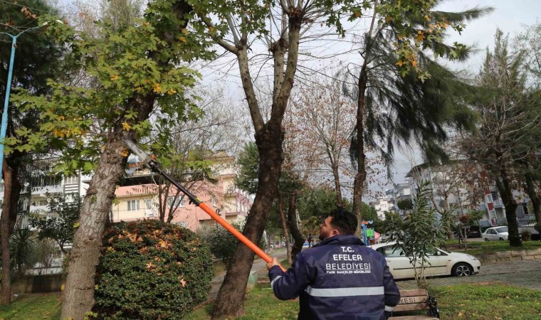 Efelerin ekipleri park ve bahçelerde bakım çalışması yapıyor