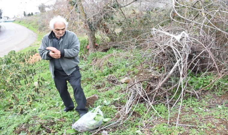 Emeklinin doğa tutkusu: Yenilebilen otları toplayarak sağlıklı yaşamı destekliyor