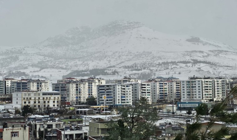 Ergani kar yağışı sonrası beyaza büründü