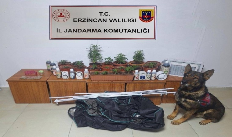 Erzincanda jandarma ekipleri suç ve suçluya geçit vermiyor