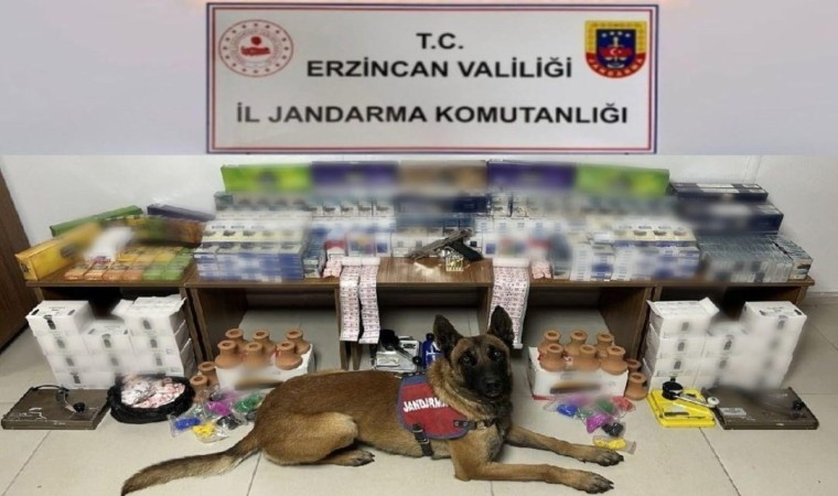 Erzincanda jandarma ekiplerinden kaçak sigara operasyonu