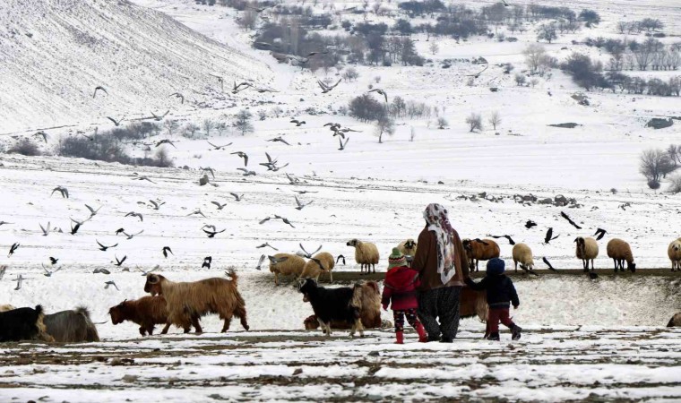 Erzincanda “Köyümde Yaşamak İçin Bir Sürü Nedenim Var projesi ile 179 üretici hayvan varlığını artırdı