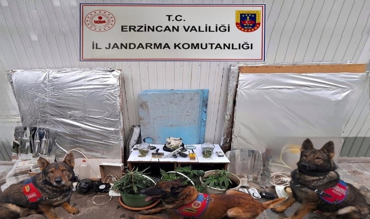 Erzincanda uyuşturucu operasyonu: 3 kişi gözaltına alındı