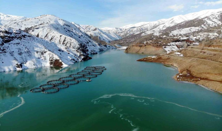 Erzincandaki Göyne Sulama Barajı buzla kaplandı