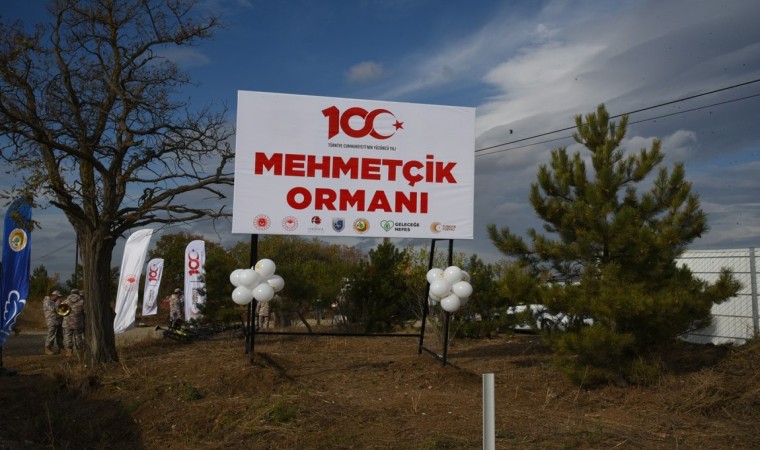 Eskişehir Orman Bölge Müdürlüğü 2023 yılında 1 milyon 264 bin fidan dikti