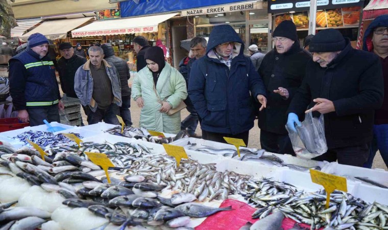 Gençlik iksiri kolajen sayesinde hamsiye olan ilgi arttı: Kadınlar eşlerinden hamsi istiyor