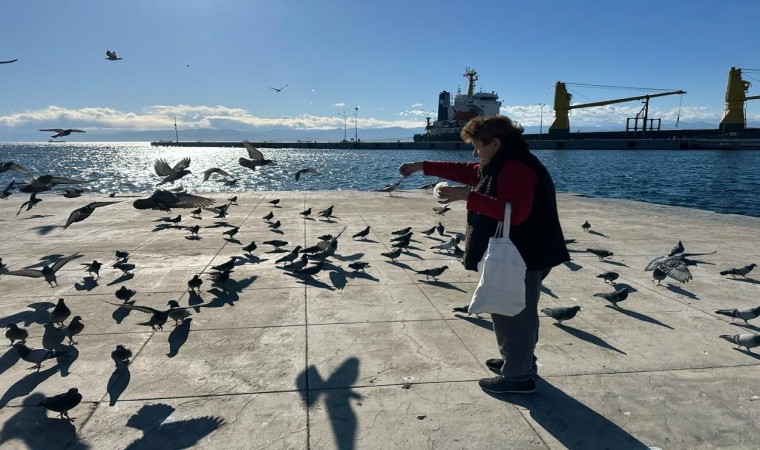 Her sabah sahildeki kuşları yemliyor