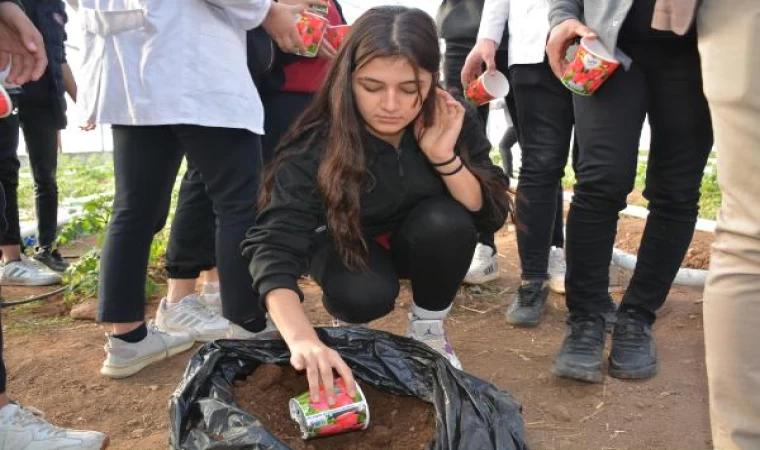 Hollanda Büyükelçiliği’nin gönderdiği lale soğanları, Silopi’de yetiştirilecek